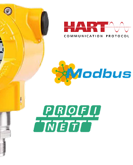 Water Quality Monitoring Device